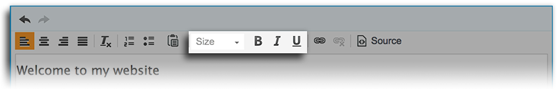 Text Box Tools Font Style