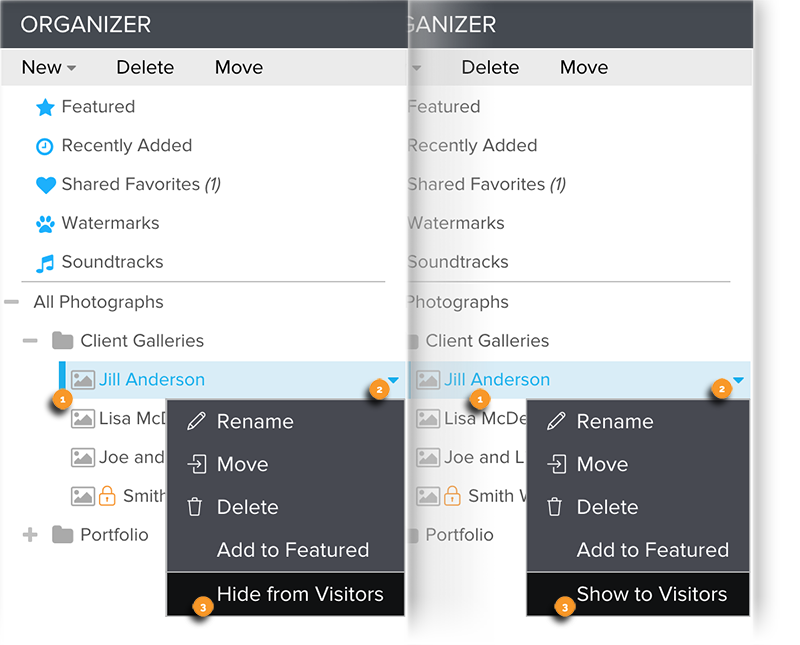 Hide Or Show A Group, Gallery, Or Collection To Visitors – Zenfolio