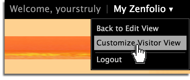 My Zenfolio View Switcher